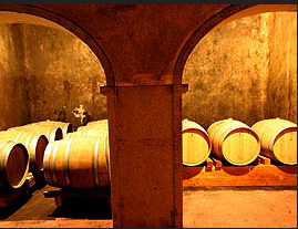 Bodega Vitinicola Ribeiro