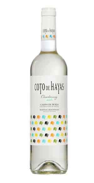  Coto de Hayas Blanc Jeune 2021