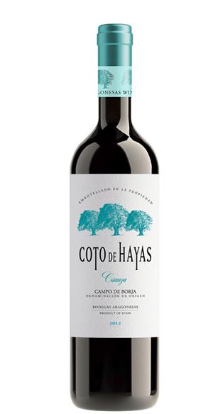 Coto de Hayas Crianza Rehoboam